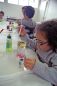 Preview: Winlab explorer kids