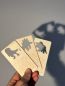 Preview: Shadow Play Dinosaurs