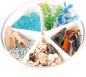 Preview: Sensory Box Sea