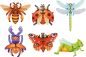 Preview: Magnetpuzzle Insekten 6er Set