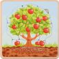 Preview: Lebenszyklen Puzzle Apfelbaum
