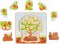 Preview: Lebenszyklen Puzzle Apfelbaum