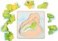 Preview: Life Cycles Puzzle Frog