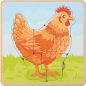 Preview: Life Cycles Puzzle Chicken