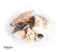 Preview: Shells in organza bag
