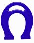 Preview: Magnetic horseshoe