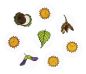 Preview: Leaf stamps set of 10