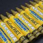 Preview: belcolART Crewax Premium 12 Wachsmalstifte gold
