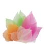 Preview: Real magnolia leaves 300 pcs