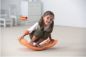 Preview: Whally Board orange