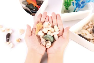 Preview: Sensory Box Sea