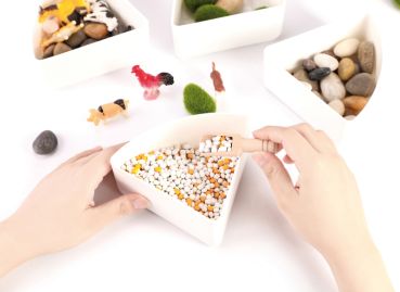 Preview: Sensory Box Farm