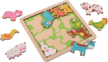 Wooden Puzzles set of 5
