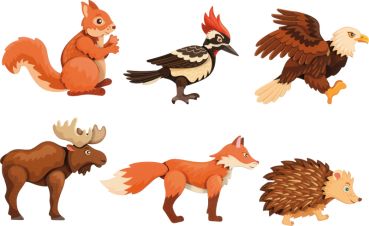 Magnetpuzzle Wald 6er Set