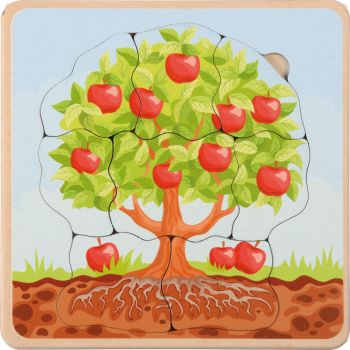 Life Cycles Puzzle Apple Tree