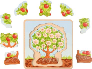 Preview: Life Cycles Puzzle Apple Tree