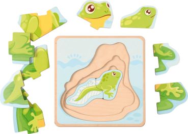 Life Cycles Puzzle Frog
