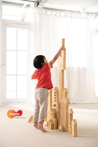 Softwood blocks 152 pcs