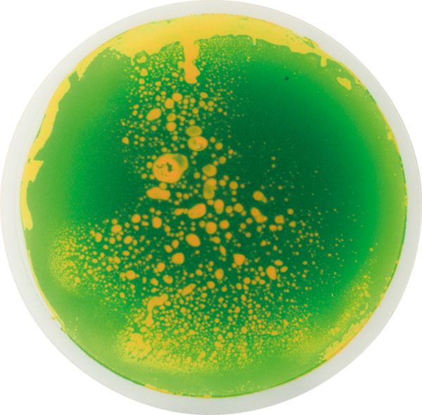 Fascination Mats round set of 5