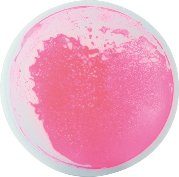 Fascination Mats round set of 5