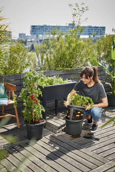 Tomato Pot