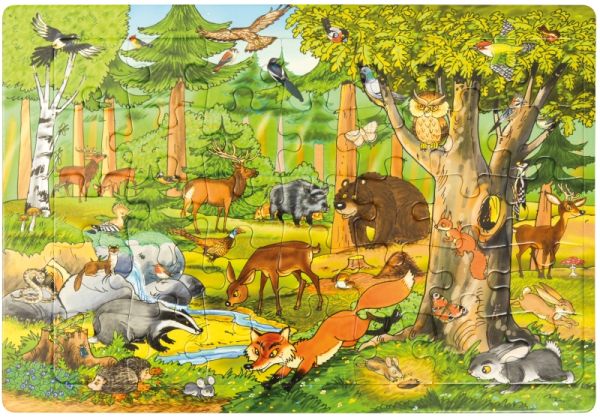 Puzzle forest