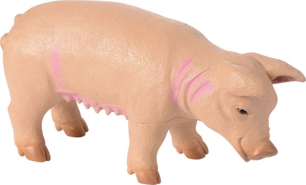 Giant Farm Animals set of 5