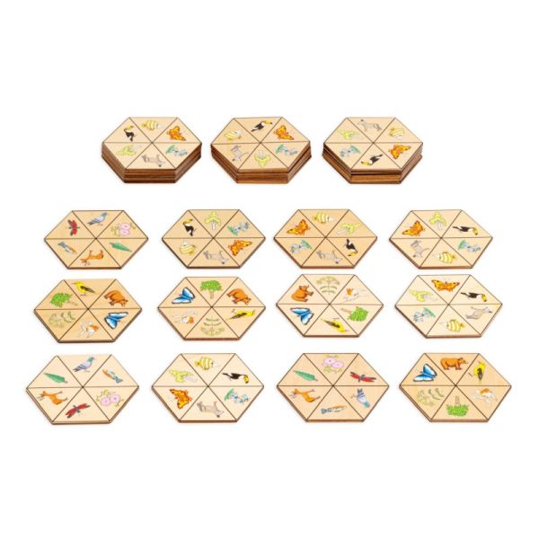 Hexagon nature
