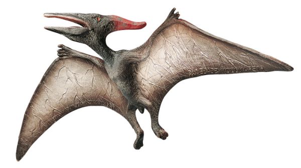 Pteranodon Play Figure