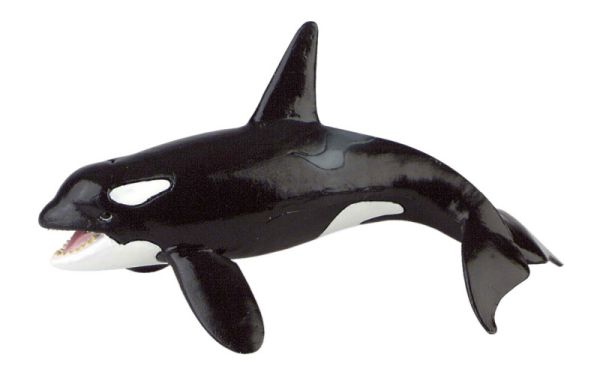 Orca Whale Play Figure