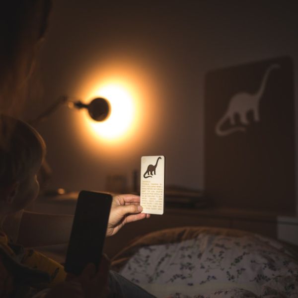 Shadow Play Dinosaurs