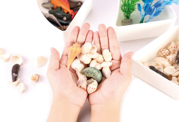 Sensory Box Sea