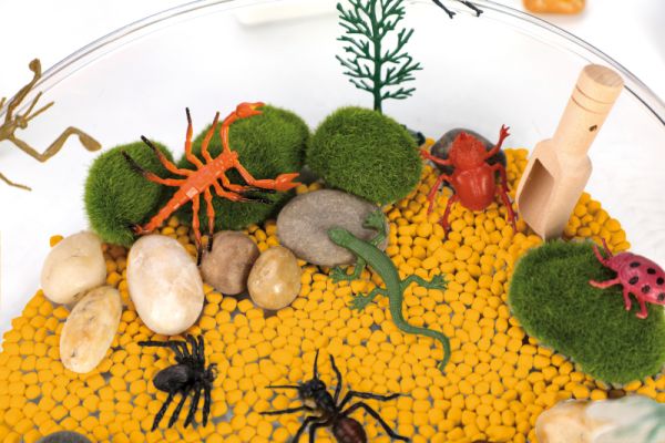 Sensorik-Kasten Insekten
