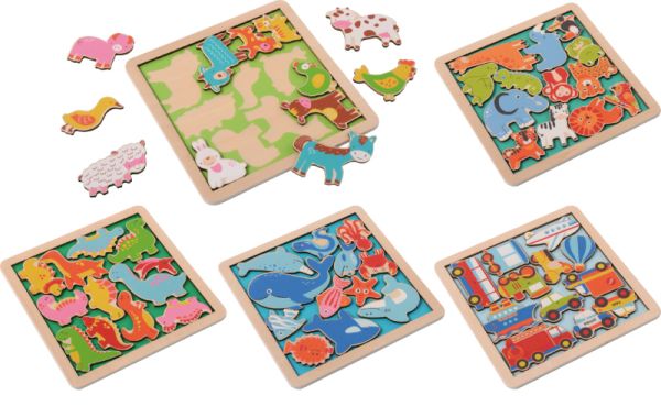 Wooden Puzzles set of 5
