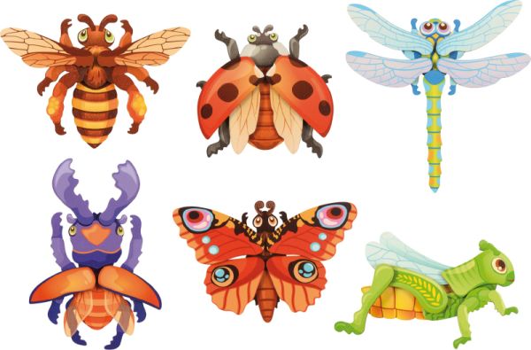 Magnetpuzzle Insekten 6er Set
