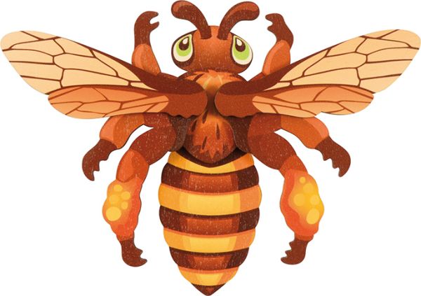 Magnetpuzzle Insekten 6er Set