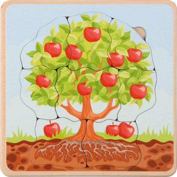 Lebenszyklen Puzzle Apfelbaum