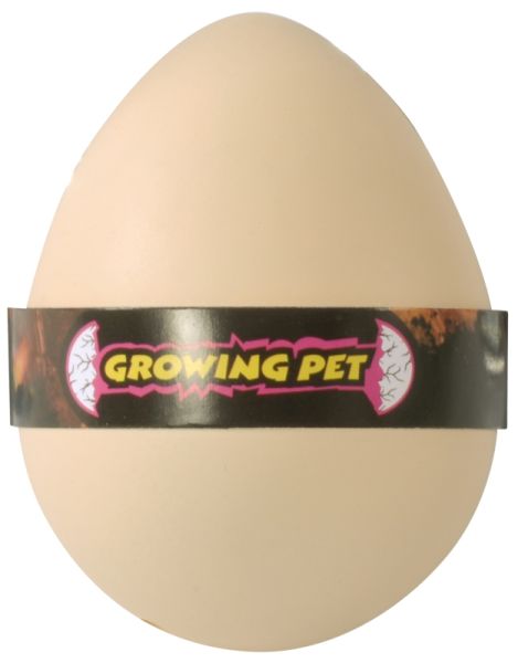 Growing eggs dinosaurs