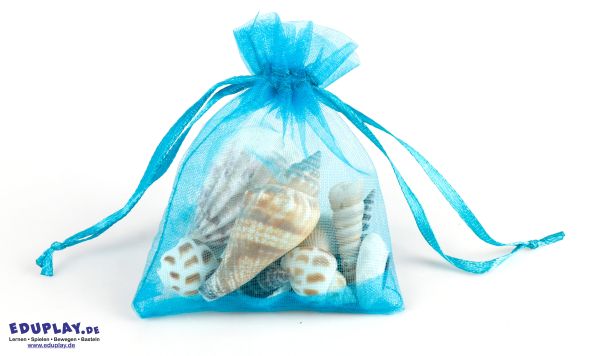 Shells in organza bag