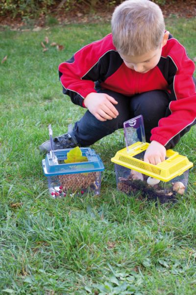 Box for Insects set of 2
