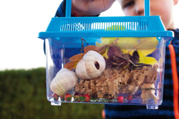Box for Insects set of 2