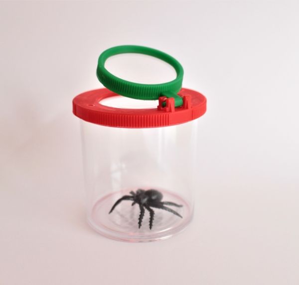 Box with Magnifying Glass Large