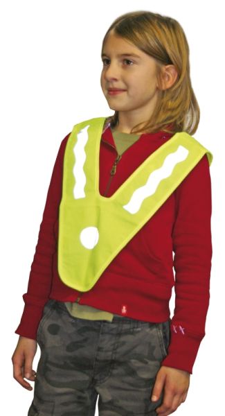 Reflective collar