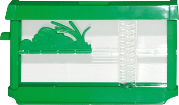 Ants farm