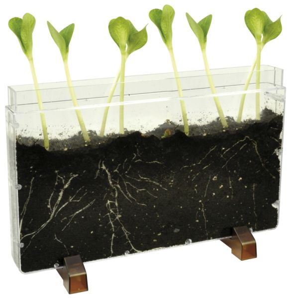 House for plant roots / worms