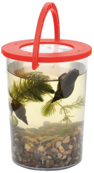 Giant magnifying cup