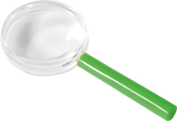Bunte Lupen 8er Set