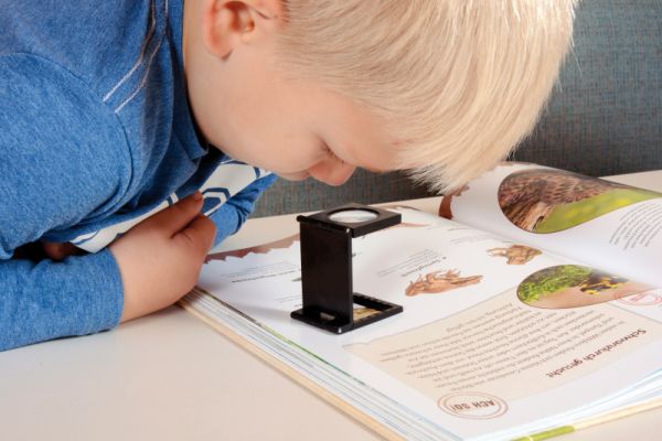 Stand magnifier mini