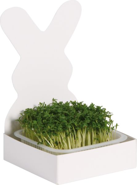Rabbit seed trays set of 15