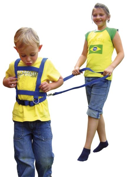 Horse harness